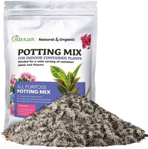 best potting soil for cactus